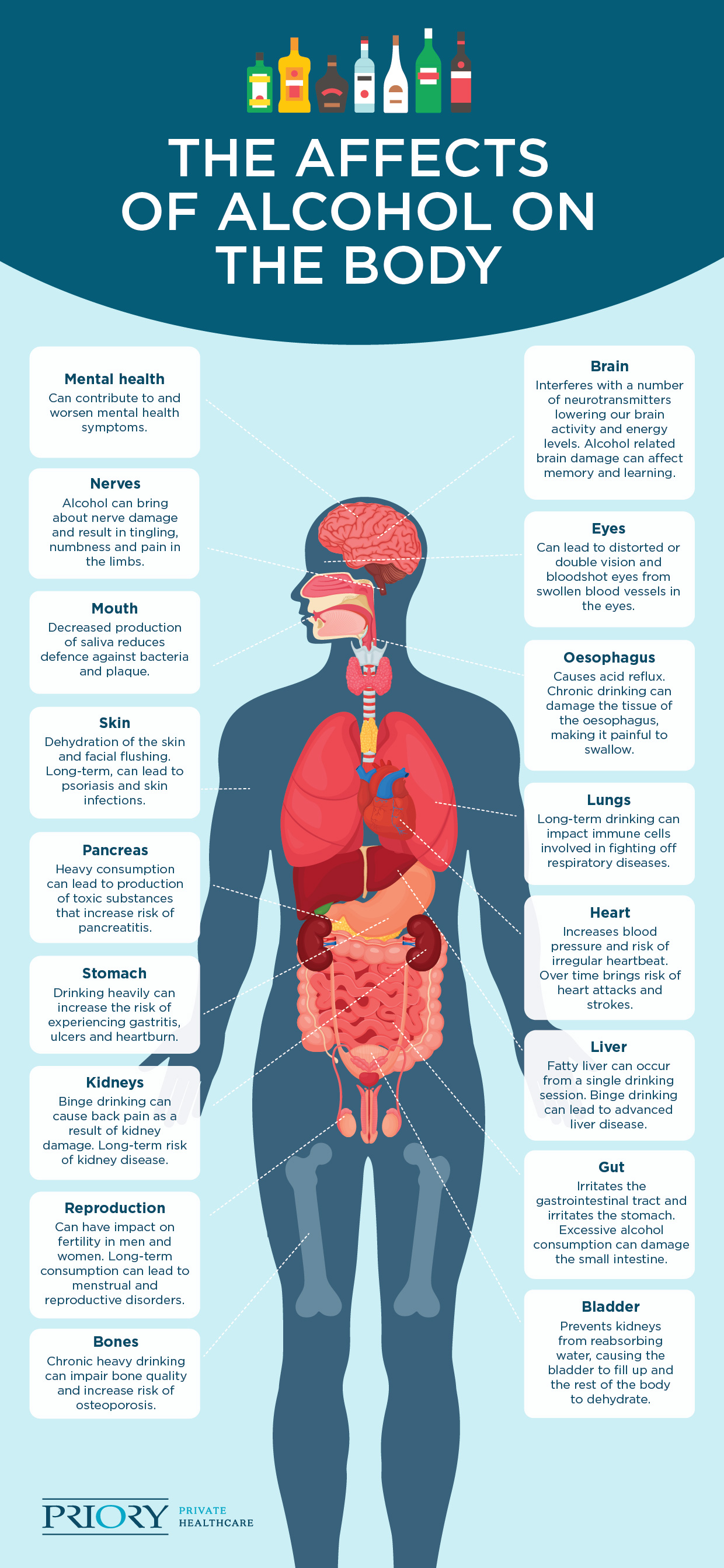 effects of alcohol on the body infographic