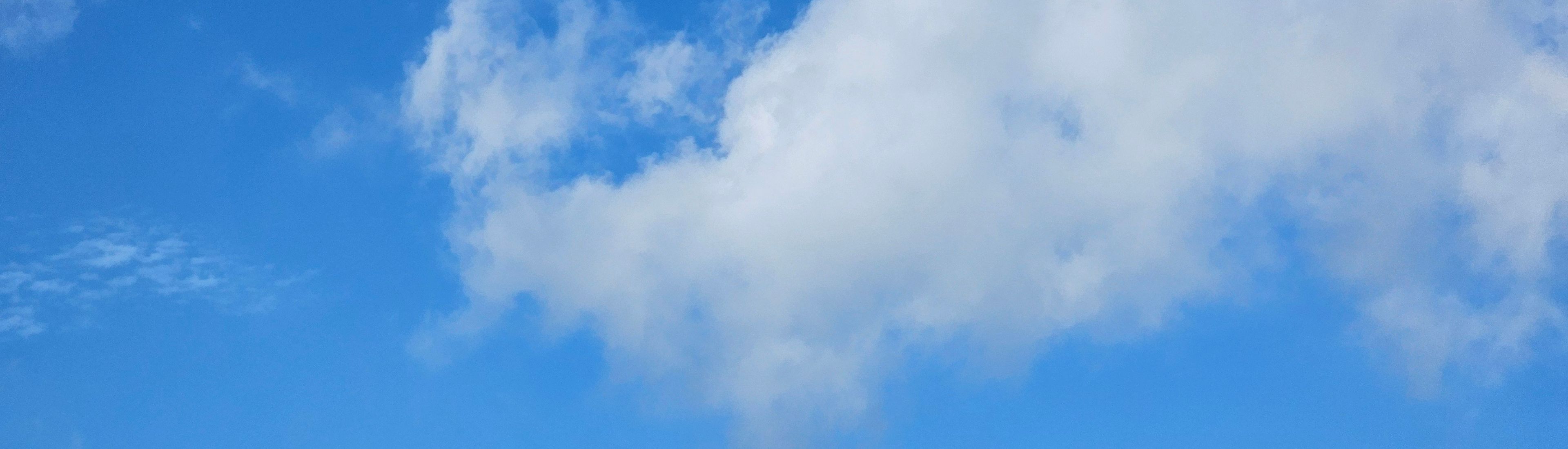 WIBAT Blog Banner
