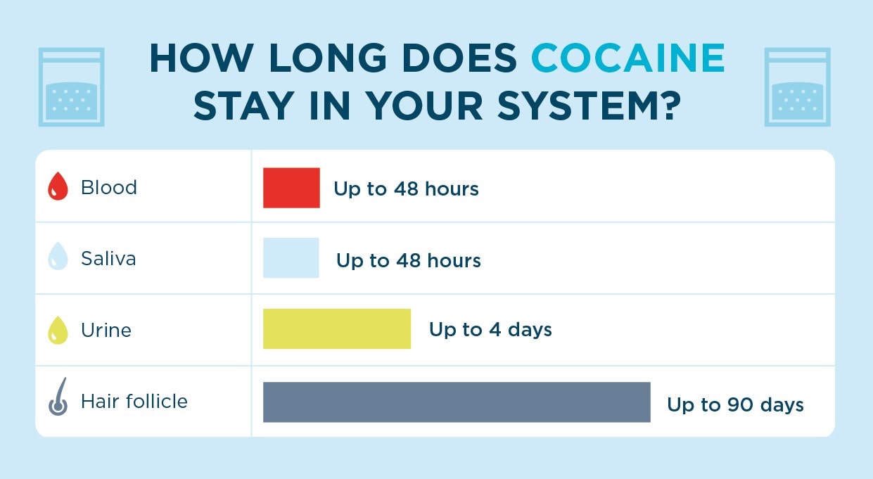how long does cocaine stay in your system table