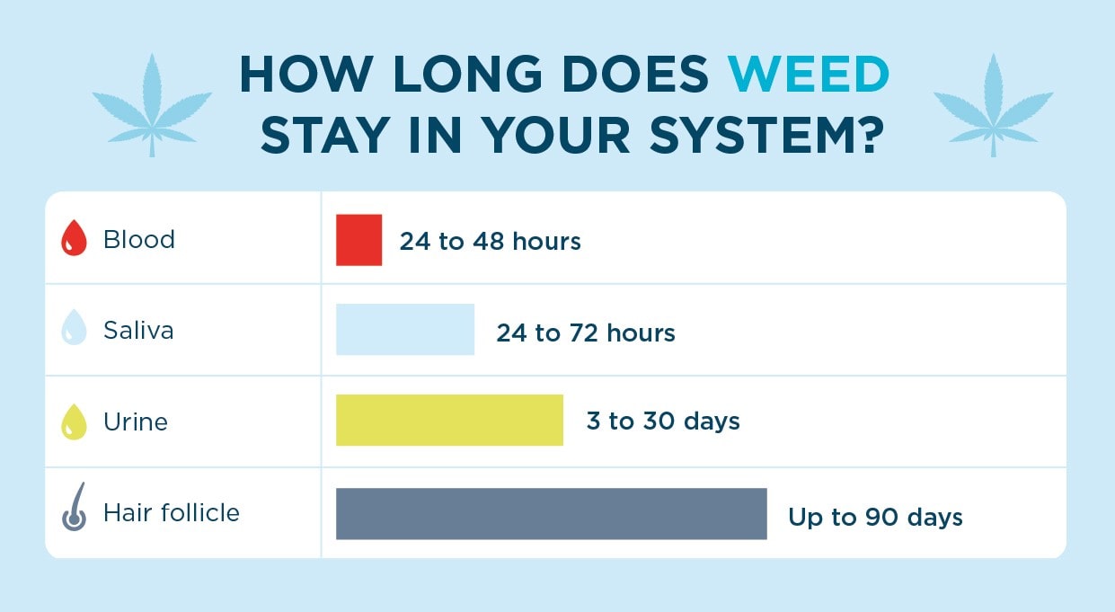 how long does weed stay in your system