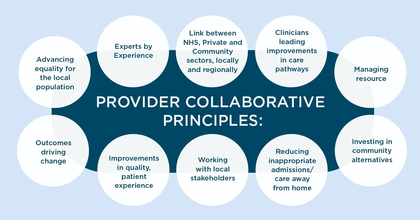 ics collaborative principles