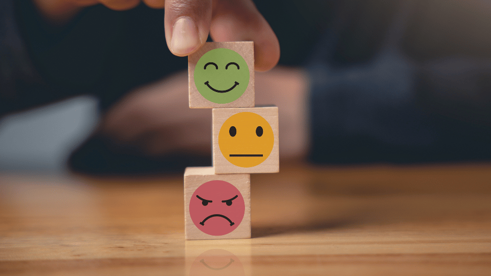 Traffic Light Emotions