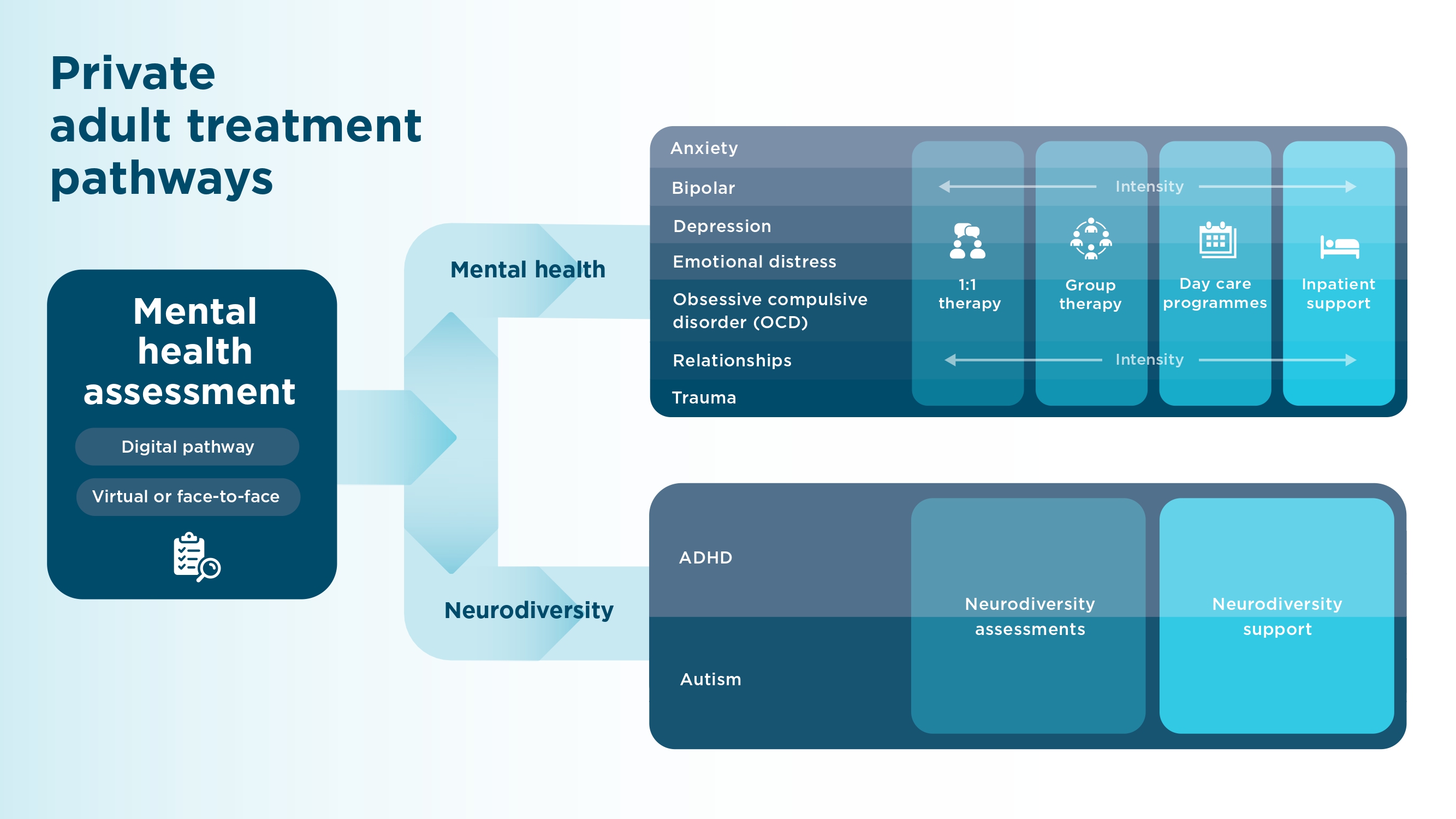 graphic outlininf the different routes for acute support at priory