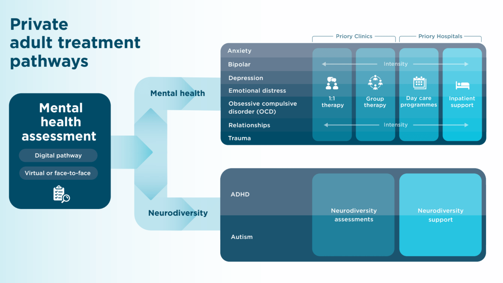 graphic outlining the different routes for acute support at priory