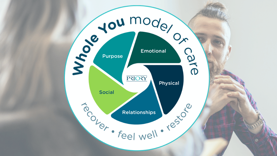 Whole you model of care wheel